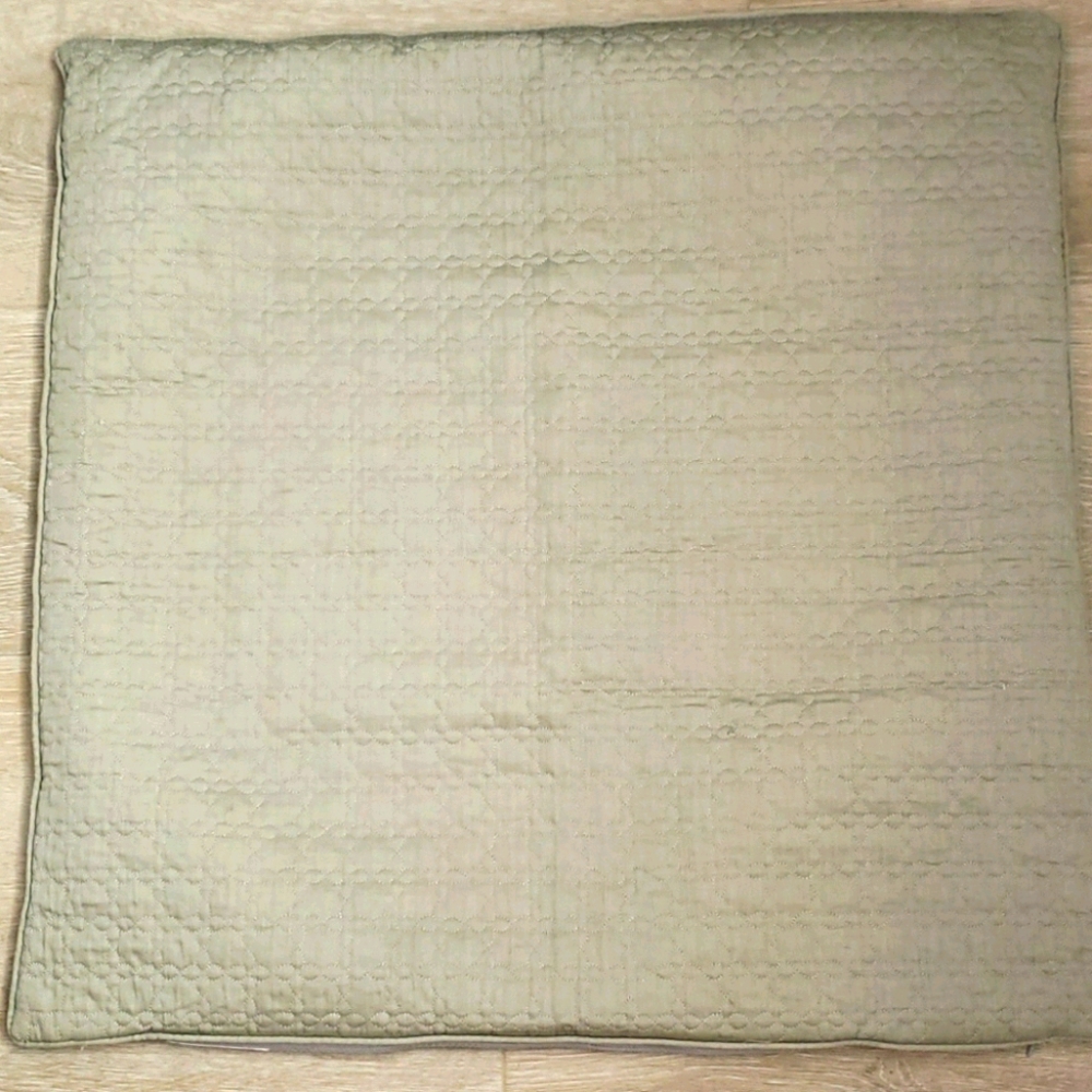 Nicole Miller Euro Pillow Sham